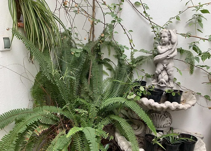 Casa Palacio La Sal Отель