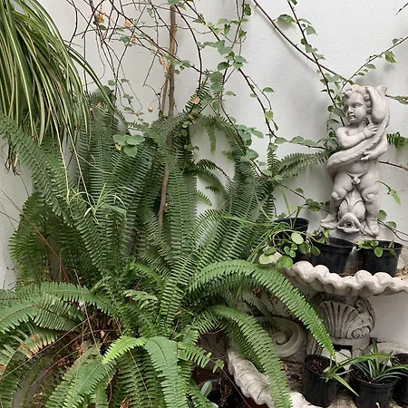 Casa Palacio La Sal Hotel